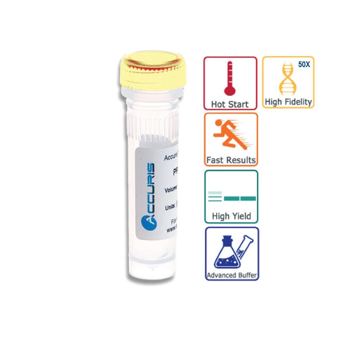 High Fidelity DNA Polymerase